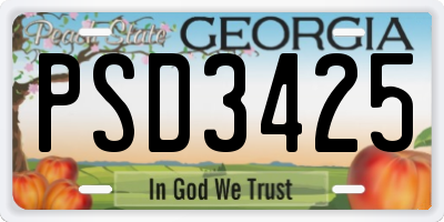 GA license plate PSD3425