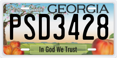 GA license plate PSD3428