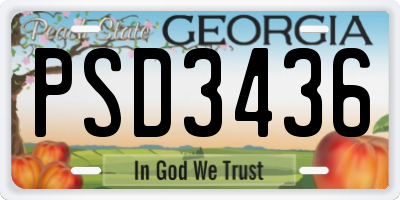GA license plate PSD3436