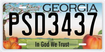 GA license plate PSD3437