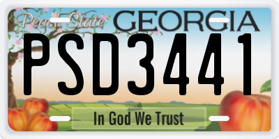 GA license plate PSD3441