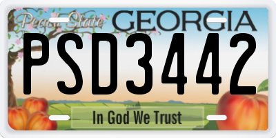 GA license plate PSD3442