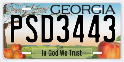 GA license plate PSD3443