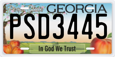 GA license plate PSD3445