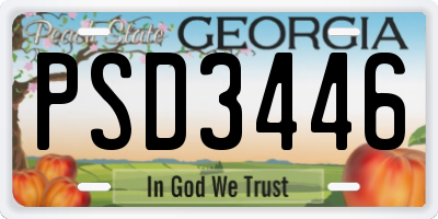 GA license plate PSD3446