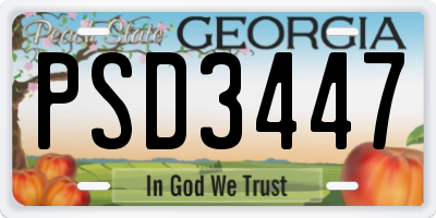 GA license plate PSD3447