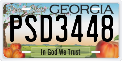 GA license plate PSD3448