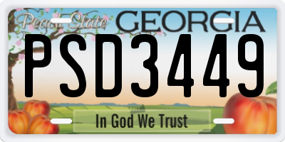 GA license plate PSD3449
