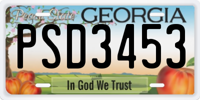 GA license plate PSD3453
