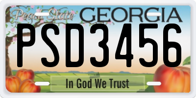 GA license plate PSD3456