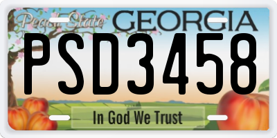 GA license plate PSD3458