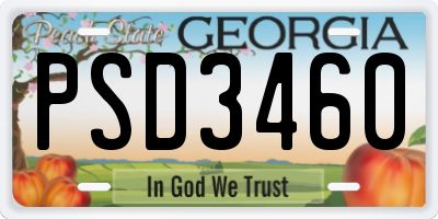 GA license plate PSD3460