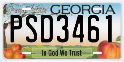 GA license plate PSD3461
