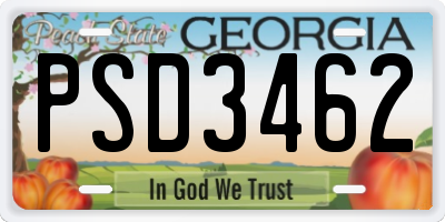 GA license plate PSD3462