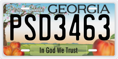 GA license plate PSD3463