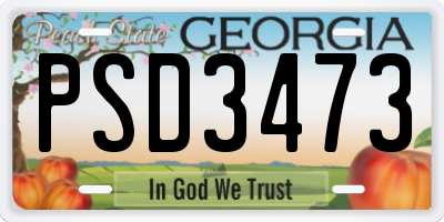 GA license plate PSD3473