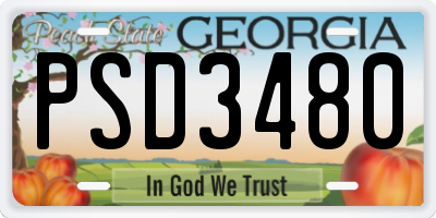 GA license plate PSD3480