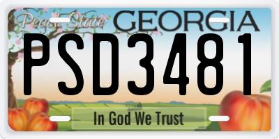 GA license plate PSD3481