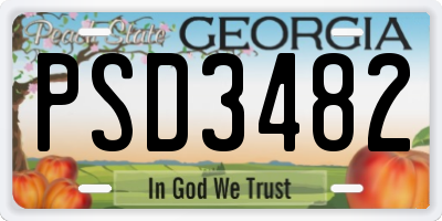 GA license plate PSD3482