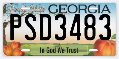 GA license plate PSD3483