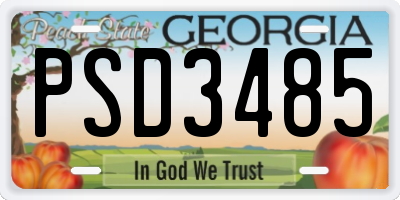 GA license plate PSD3485