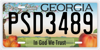 GA license plate PSD3489
