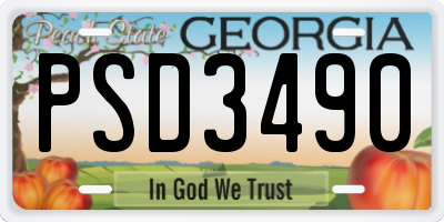 GA license plate PSD3490