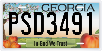 GA license plate PSD3491