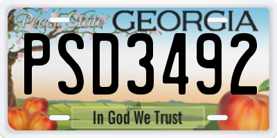 GA license plate PSD3492