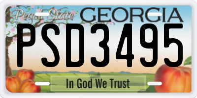 GA license plate PSD3495
