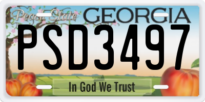 GA license plate PSD3497