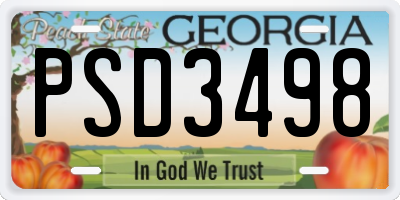 GA license plate PSD3498