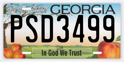 GA license plate PSD3499