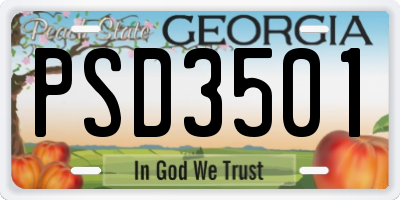 GA license plate PSD3501