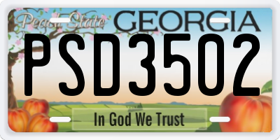 GA license plate PSD3502