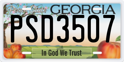 GA license plate PSD3507