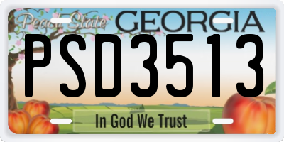 GA license plate PSD3513