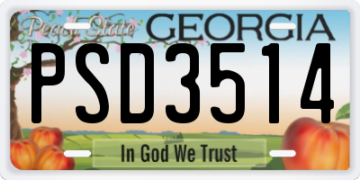 GA license plate PSD3514