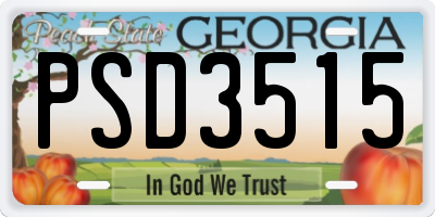 GA license plate PSD3515