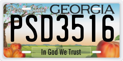 GA license plate PSD3516