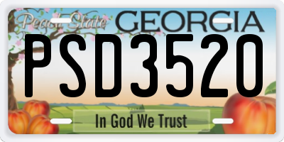 GA license plate PSD3520
