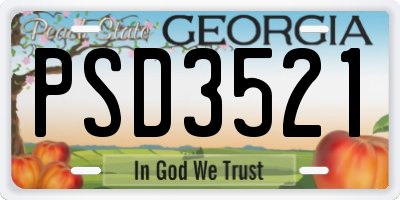 GA license plate PSD3521
