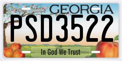 GA license plate PSD3522