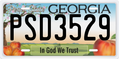 GA license plate PSD3529