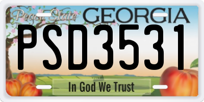GA license plate PSD3531