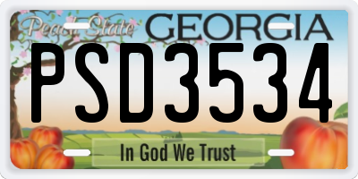GA license plate PSD3534