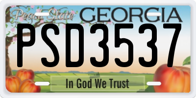 GA license plate PSD3537