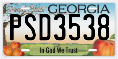 GA license plate PSD3538