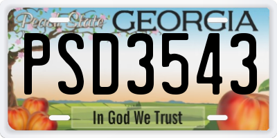 GA license plate PSD3543
