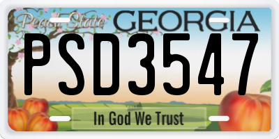 GA license plate PSD3547